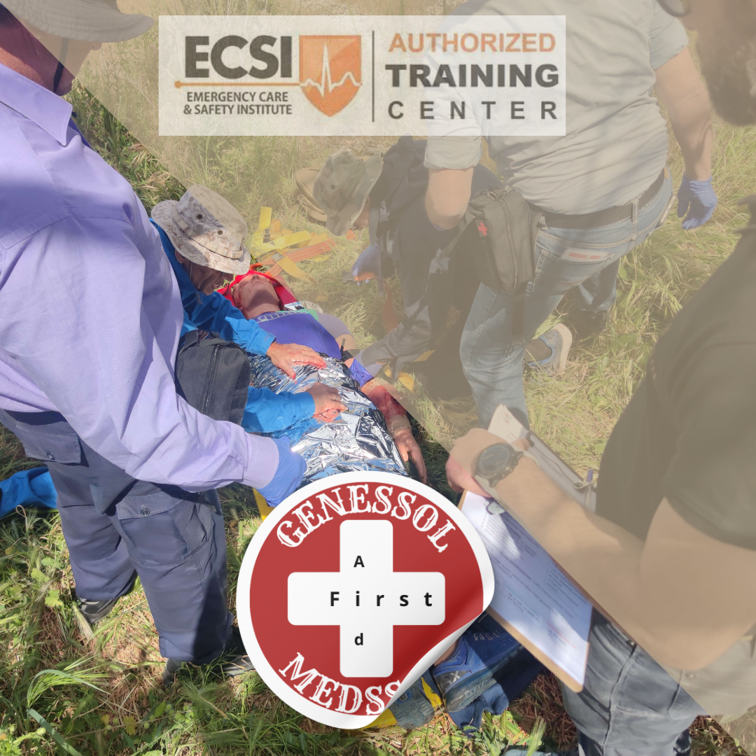 wilderness First Aid Course Genessol